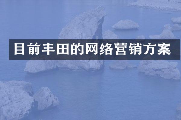 目前丰田的网络营销方案