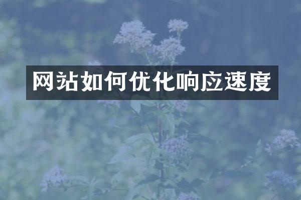 网站如何优化响应速度