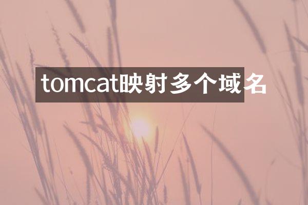 tomcat映射多个域名