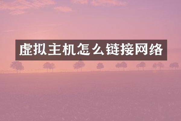 虚拟主机怎么链接网络
