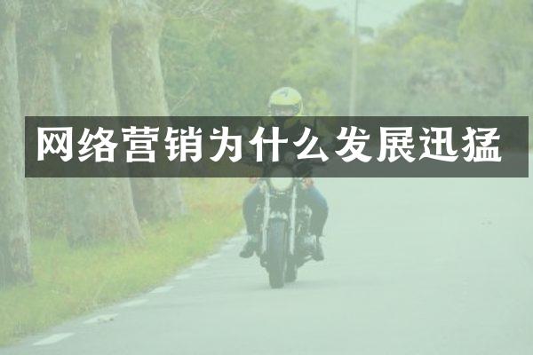 网络营销为什么发展迅猛