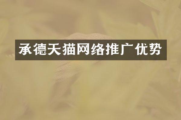 承德天猫网络推广优势