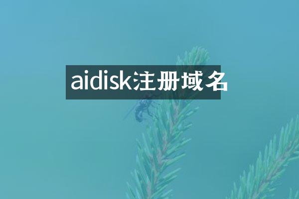 aidisk注册域名