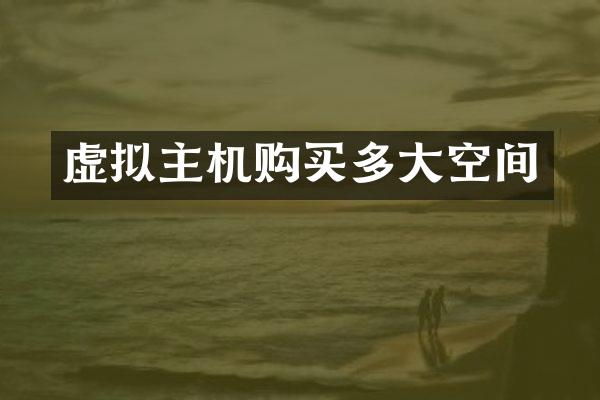 虚拟主机购买多大空间
