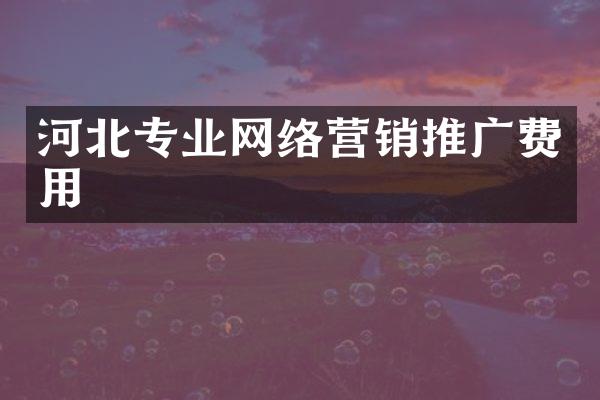河北专业网络营销推广费用