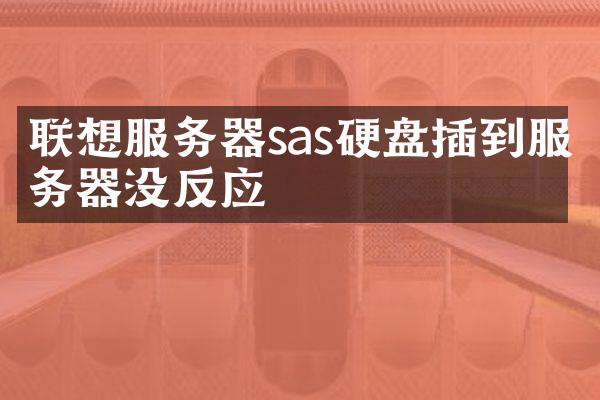 联想服务器sas硬盘插到服务器没反应