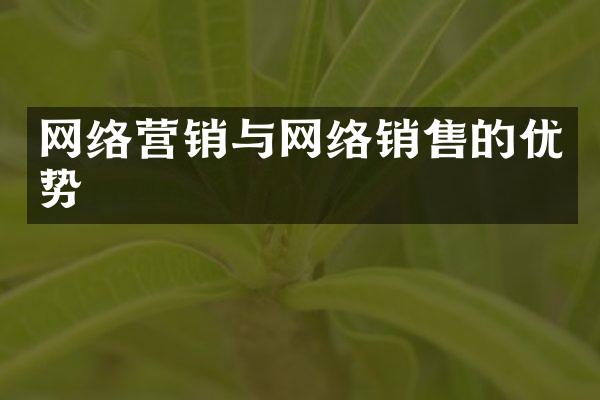 网络营销与网络销售的优势