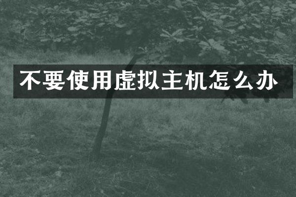 不要使用虚拟主机怎么办
