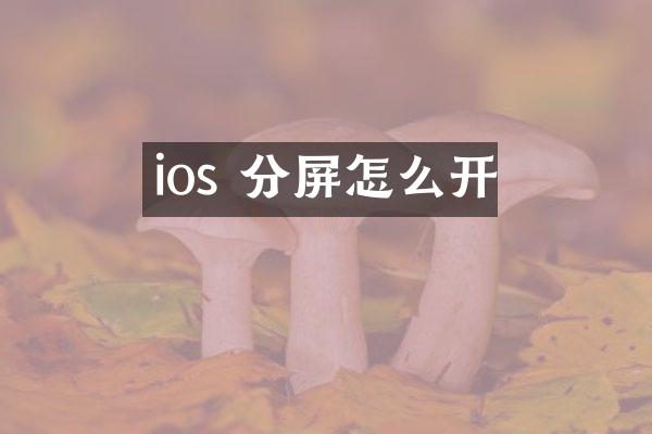 ios 分屏怎么开