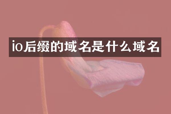 io后缀的域名是什么域名