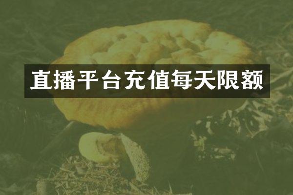 直播平台充值每天限额