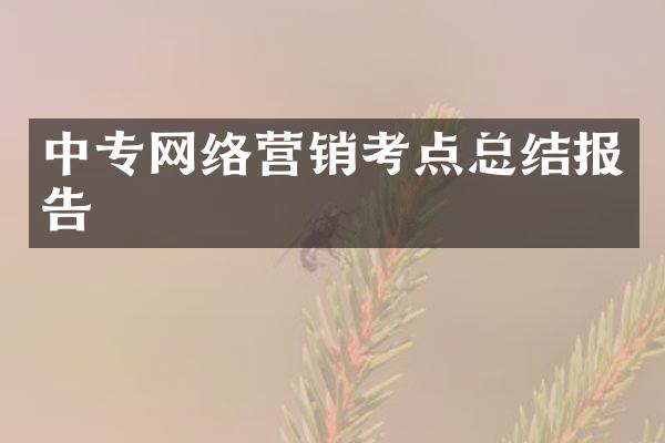 中专网络营销考点总结报告