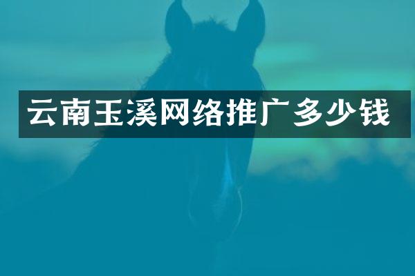 云南玉溪网络推广多少钱