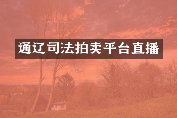 通辽司法拍卖平台直播