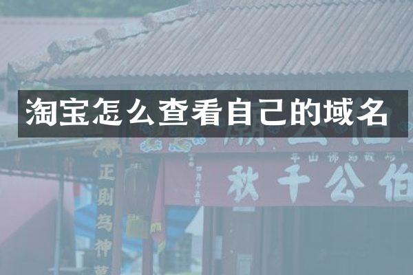 淘宝怎么查看自己的域名