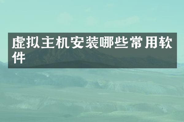 虚拟主机安装哪些常用软件