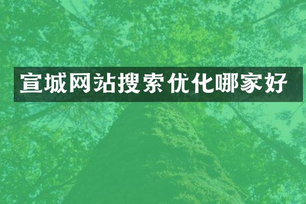宣城网站搜索优化哪家好