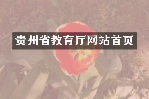 贵州省教育厅网站首页