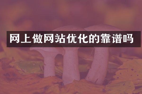 网上做网站优化的靠谱吗