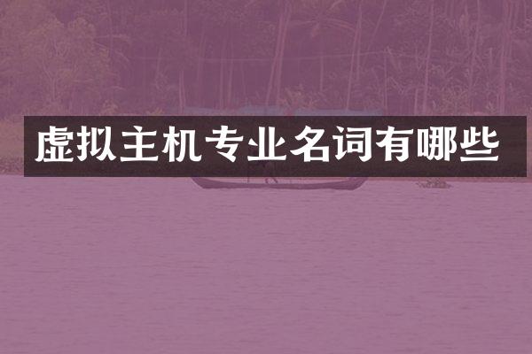 虚拟主机专业名词有哪些