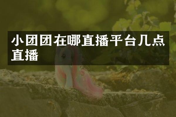 小团团在哪直播平台几点直播