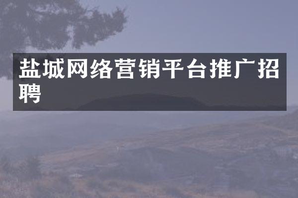 盐城网络营销平台推广招聘