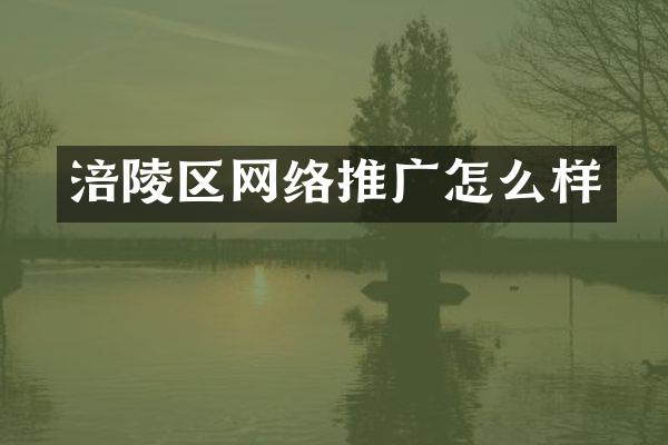 涪陵区网络推广怎么样