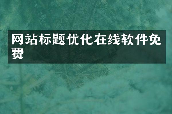 网站标题优化在线软件免费