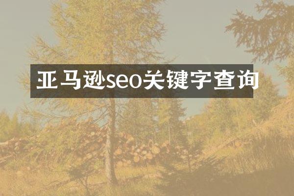 亚马逊seo关键字查询