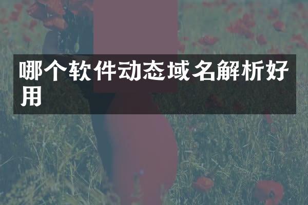 哪个软件动态域名解析好用