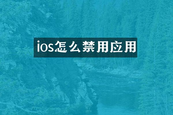 ios怎么禁用应用
