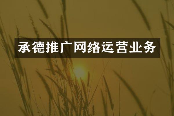 承德推广网络运营业务