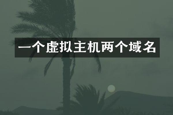 一个虚拟主机两个域名