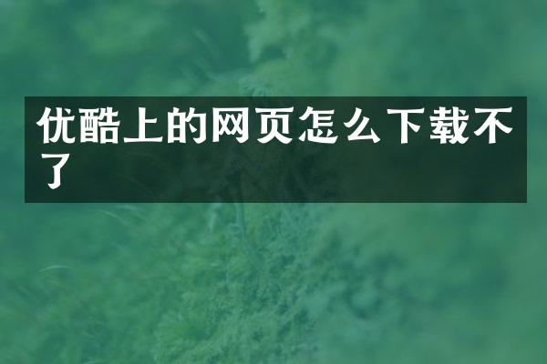 优酷上的网页怎么下载不了