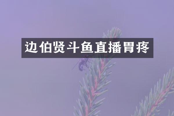 边伯贤斗鱼直播胃疼