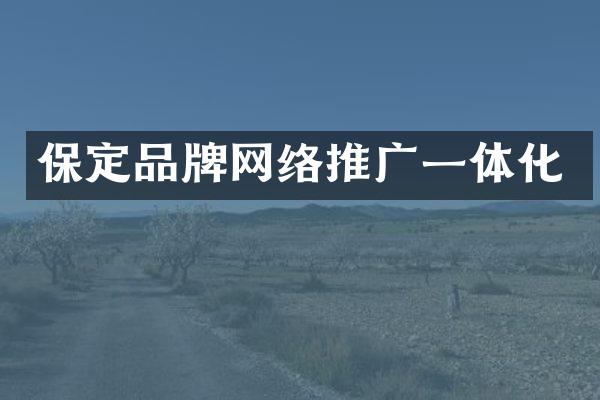 保定品牌网络推广一体化