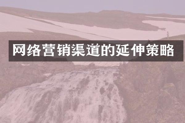 网络营销渠道的延伸策略