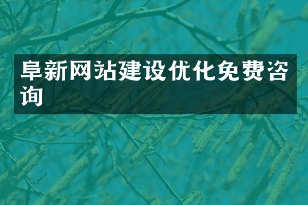 阜新网站建设优化免费咨询