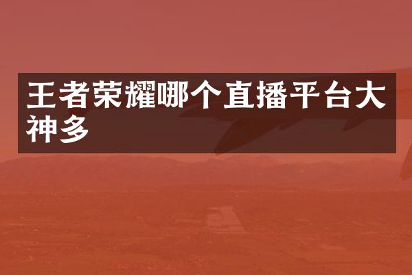 王者荣耀哪个直播平台大神多