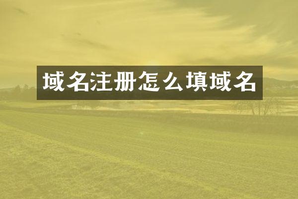 域名注册怎么填域名