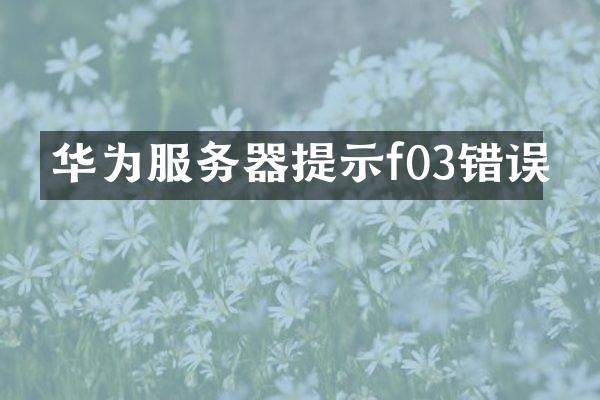 华为服务器提示f03错误