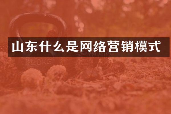 山东什么是网络营销模式