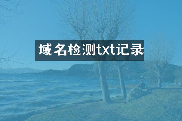 域名检测txt记录
