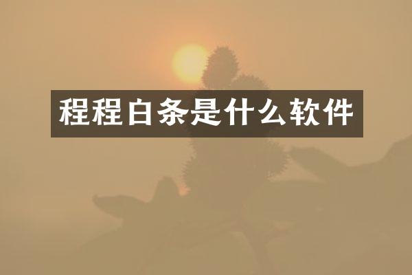 程程白条是什么软件