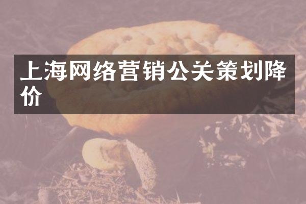 上海网络营销公关策划降价