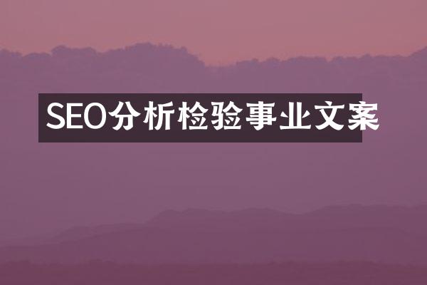 SEO分析检验事业文案