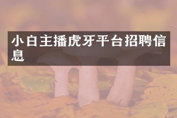 小白主播虎牙平台招聘信息