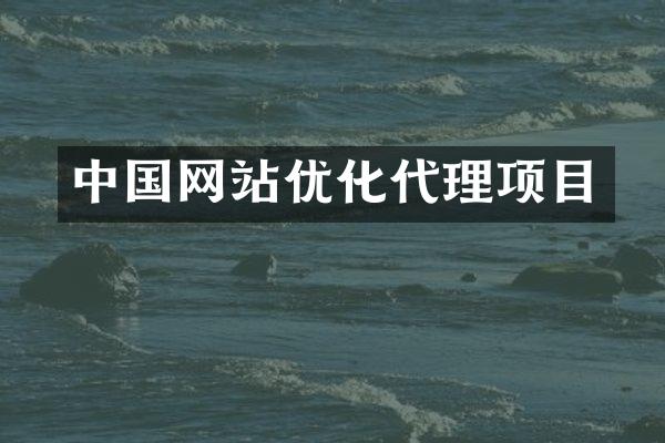 中国网站优化代理项目