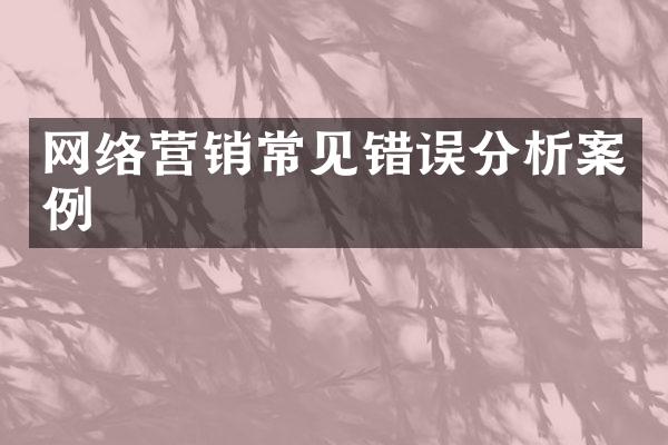 网络营销常见错误分析案例