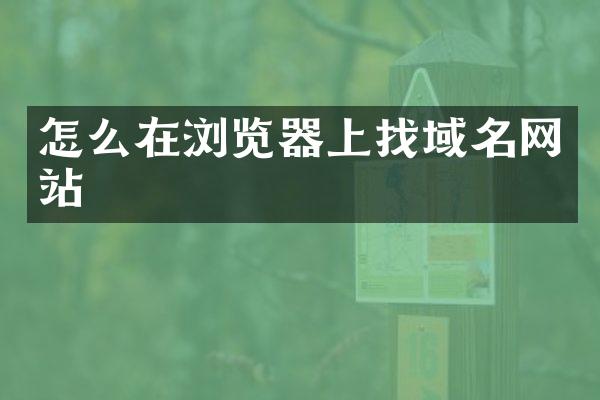 怎么在浏览器上找域名网站